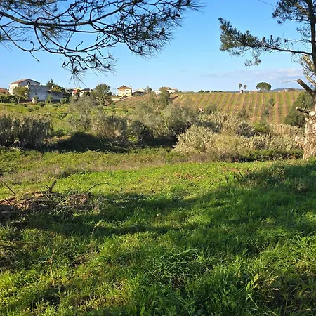 Lejlighed Quinta Nova