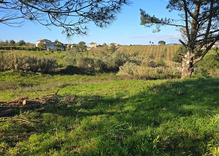 Apartment Quinta Nova