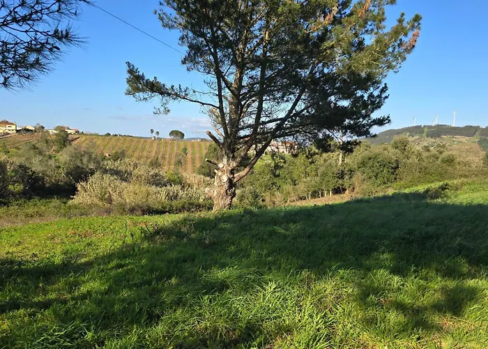 Quinta Nova Apartment *