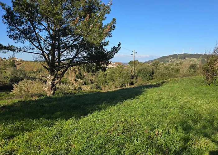 Quinta Nova Apartment Cadaval